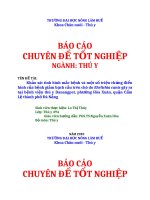 BÁO CÁO CHUYÊN ĐỀ TỐT NGHIỆP NGÀNH: THÚ Y  TÊN ĐỀ TÀI: Khảo sát tình hình mắc bệnh và một số triệu chứng điển hình của bệnh giảm bạch cầu trên chó do Ehrlichia canis gây ra tại bệnh viện thú y Danangpet, phường Hòa Xuân, quận Cẩm Lệ thành phố Đà Nẵng