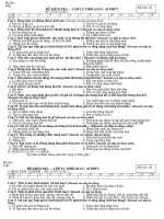 §ò kióm tra – líp 11 thêi gian 45 phót §ò kióm tra – líp 11 thêi gian 45 phót i phçn tr¾c nghiªm 7® 0 5 ® 1c©u c©u 1 2 3 4 5 6 7 8 9 10 11 12 13 14 § ¸ c©u 1 hµng ho¸ cã nh÷ng thuéc týnh nµo khoan
