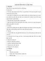 Giáo án dạy chuyên đề nhóm sinh