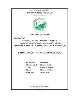 Áp dụng biện pháp phòng trị bệnh cho chó được đưa đến khám chữa bệnh tại phòng khám và chăm sóc thú cưng gaia hà nội 