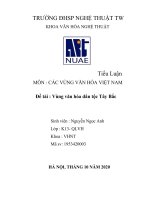 Tiểu luận môn Các vùng văn hóa việt nam , Tây Bắc