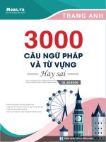 3000 câu ngữ pháp từ vựng tiếng anh hay sai