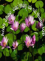 slide 1 gi¸o ¸n m«n to¸n –líp 3 ng­êi thùc hiön nguyễn thị yến tr­êng tióu học số 1 duy hoà thứ sáu ngày 15 tháng 10 năm 2009 toán 1 kiểm tra dụng cụ học tập sgk vbt bảng con bút phấn thứ năm ngà