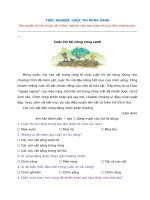 Trắc nghiệm Cuộc thi tài năng rừng xanh