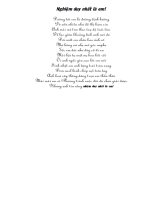 Nghiem duy nhat la em