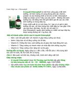 nước diệp lục chlorophyll k liquid chlorophyll là một thức uống giàu chất dinh dưỡng với hàm lượng vô cùng phong phú các vitamin protein và các khoáng chất có lợi cho cơ thể chlorophyll diệp lục đ