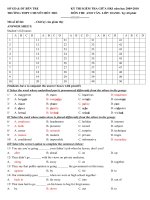 De thi giua HKI lop 10 Anh