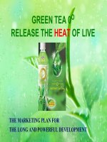 slide 1 green tea 0o release the heat of live the marketing plan for the long and powerful development the purpose to communicate to all of customer to make customer satisfied in payment to have a big