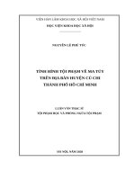 Tình hình tội phạm ma túy trên địa bàn huyện Củ Chi, Thành phố Hồ Chí Minh.