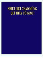 chuyên đề dạy học theo định hướng phát triển phẩm chất  và năng lực cho học sinh trong một số tiết học văn bản 