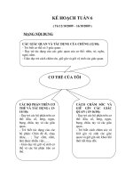 thể dục sáng kế hoạch tuần 6 từ 12102009 – 16102009 mạng nội dung thể dục sáng đề tài thở 2 tay vai 4 bụng lườn 2 chân 2 bật 1 i yêu cầu dạy trẻ biết tập theo cô các động tác của bài thể d