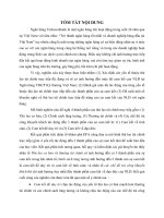 Ảnh hưởng của hệ thống thù lao tài chính trực tiếp đến sự cam kết của người lao động tại ngân hàng thương mại cổ phần kỹ thương việt nam (tt) 