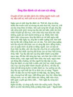 Co tich cai bien Ong lao danh ca va con ca vang