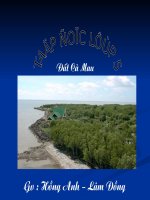 slide 1 ñaát caø mau gv hoàng anh – laâm ñoàng thöù tö ngaøy 14 thaùng 10 naêm 2009 taäp ñoïc 1theo huøng quyù nam caùi quyù nhaát treân ñôøi laø gì 2vì sao thaày giaùo cho raèng ngöôøi lao ñ