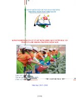 kinh nghiệm quản lý và sử dụng hiệu quả vườn rau an toàn của bé trong trường mâm non 