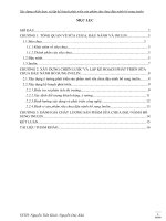 Tiểu luận xây dựng chiến lược và lập kế hoạch phát triển sản phẩm sữa chua đậu nành bổ sung inulin 