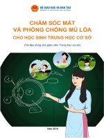 CHĂM SÓC MẮTVÀ PHÒNG CHỐNG MÙ LÒACHO HỌC SINH TRUNG HỌC CƠ SỞ(Tài liệu dùng cho giáo viên Trung học cơ sở)
