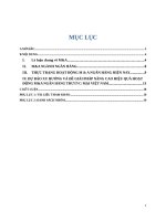 Tiểu luận đầu tư quốc tế mua lại và sáp nhập ma trong hệ thống ngân hàng việt nam 