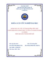 Đánh giá các yếu tố ảnh hưởng đến việc chấp nhận mua trực tuyến của khách hàng cá nhân trên địa bàn thành phố huế 