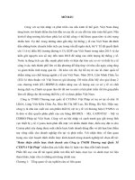 Hoàn thiện chiến lược kinh doanh của công ty TNHH thương mại quốc tế CYSINA việt pháp (tt) 