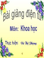 slide 1 môn khoa häc thực hiện vò thþ ph­îng thöù naêm ngaøy 24 thaùng 9 naêm 2009 khoa häc kieåm tra baøi cuõ vi sao ph¶i ăn phèi hîp chêt bðo cã nguån gèc ®éng vët vµ chêt bðo cã nguån gèc thùc vët