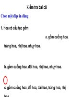 powerpoint presentation kiểm tra bài cũ chọn một đáp án đúng 1 hoa có cấu tạo gồm a gồm cuống hoa tràng hoa nhị hoa nhụy hoa b gồm cuống hoa đài hoa nhị hoa nhụy hoa c gồm cuống hoa đế hoa đài