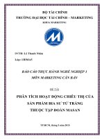 Phân tích hoạt động chiêu thị của sản phẩm bia sư tử trắng thuộc tập đoàn masan lê thanh nhàn 