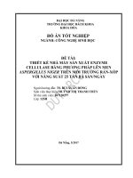 Thiết kế nhà máy sản xuất enzyme cellulase bằng phương pháp lên men aspergillus niger trên môi trường rắn xốp với năng suất 25 tấn bã sắnngày  