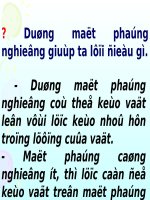 truong th va thcs phuong ninh phung hiep hau giang duøng maët phaúng nghieâng coù theå keùo vaät leân vôùi löïc keùo nhoû hôn troïng löôïng cuûa vaät maët phaúng caøng nghieâng ít thì löïc caàn ñeå k