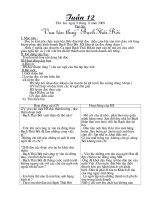 GIAO AN TUAN 12 LOP4 CKTKN