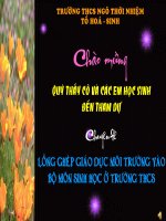 Chuyen de Long ghep GDMT trong day hoc sinh hoc otruong THCS