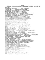 exercise exercise complete the sentences with appropriate prepositions hoµn thµnh c©u víi giíi tõ thých hîp 1 the students were excited their tet holidays 2 we are fond story books and picture boo