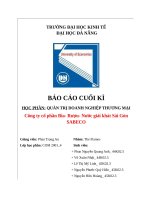 Báo-cáo-cuối-kì_-QTDNTM_-Nhóm-The-Flames