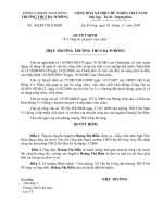 Quyet dinh thuyen chuyen vien chuc