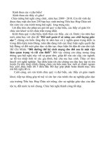 loi chuc mung dai hoi