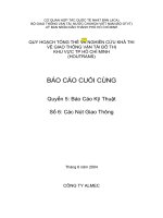 Quy hoạch Tổng thể và Nghiên cứu khả thi về GTVT Đô thị TP.HCM (HOUTRANS) - Báo cáo cuối cùng - Quyển 5: Báo cáo kỹ thuật - Số 9: Các nút giao thông