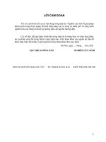 (Luận án tiến sĩ) Nghiên cứu một số giải pháp định tuyến trong tôpô mạng liên kết hiệu năng cao và công cụ đánh giá