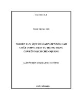Nghiên cứu một số giải pháp nâng cao chất lượng dịch vụ trong mạng chuyển mạch chùm quang. (Research solutions to improve quality of service in Optical Burst Switching Networks)
