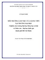 Môi trường làm việc của giảng viên tại trường đại học (nghiên cứu trường đại học khoa học xã hội và nhân văn   đại học quốc gia thành phố hồ chí minh)     