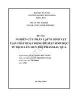 Nghiên cứu phân lập vi sinh vật tạo chất hoạt động bề mặt sinh học từ dịch lên men phụ phẩm rau quả 