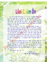 Khóa luận tốt nghiệp: Phân tích hoạt động xuất khẩu sản phẩm gỗ của Công ty Cổ phần chế biến gỗ Thừa Thiên Huế