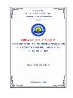 Hoàn thiện hoạt động digital marketing của công ty TNHH thương hiệu và đồng phục lion 