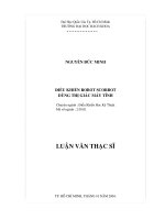 Điều khiển robot scorbot dùng thị giác máy tính 