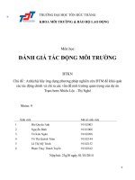 Tiểu luận Đánh giá tác động môi trường: Anh(chị) hãy ứng dụng phương pháp nghiên cứu ĐTM để khái quát các tác động chính và chỉ ra các vấn đề môi trường quan trọng của dự án Trạm bơm Nhiêu Lộc –Thị Nghè (Nhóm 9)