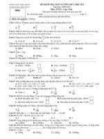 DE THI VA DAP AN MON TOAN GIUA HKI LOP 5