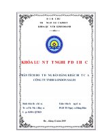 Phân tích chiến lược bán hàng khác biệt của công ty TNHH london sales 