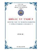 Hoàn thiện hoạt động digital marketing tại công ty TNHH du lịch xanh việt 