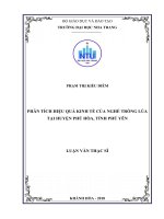 Phân tích hiệu quả kinh tế của nghề trồng lúa tại huyện phú hòa, tỉnh phú yên  