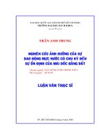 Nghiên cứu ảnh hưởng của sự dao động mực nước có chu kỳ đến sự ổn định của mái dốc bằng đất 