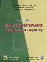 Giáo trình kinh tế các ngành thương mại   dịch vụ  